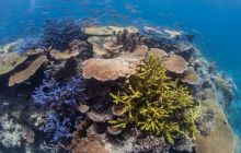 Zdjęcia z wyjazdu do Australii 2013