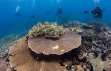 Zdjęcia z wyjazdu do Australii 2013