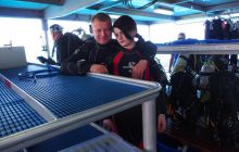 Zdjęcia z wyjazdu do Australii 2013