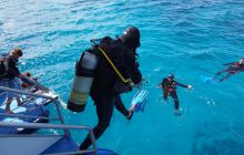 Zdjęcia z wyjazdu do Australii 2013