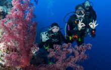 Zdjęcia z wyjazdu do Australii 2013