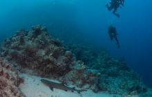 Zdjęcia z wyjazdu do Australii 2013