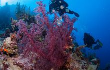 Zdjęcia z wyjazdu do Australii 2013