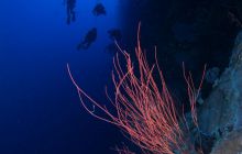 Zdjęcia z wyjazdu do Australii 2013