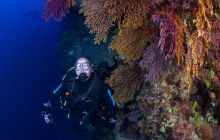 Zdjęcia z wyjazdu do Australii 2013