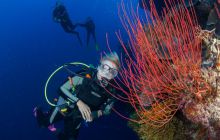 Zdjęcia z wyjazdu do Australii 2013