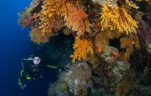 Zdjęcia z wyjazdu do Australii 2013