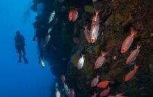 Zdjęcia z wyjazdu do Australii 2013