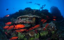 Zdjęcia z wyjazdu do Australii 2013