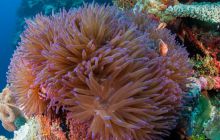 Zdjęcia z wyjazdu do Australii 2013