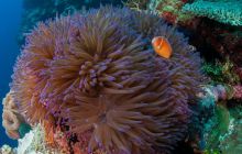 Zdjęcia z wyjazdu do Australii 2013