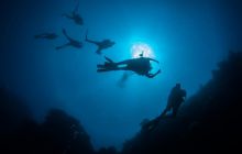 Zdjęcia z wyjazdu do Australii 2013