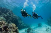 Zdjęcia z wyjazdu do Australii 2013