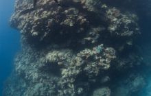 Zdjęcia z wyjazdu do Australii 2013