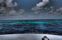 Zdjęcia z wyjazdu do Australii 2013