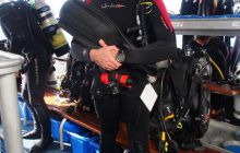 Zdjęcia z wyjazdu do Australii 2013