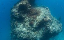 Zdjęcia z wyjazdu do Australii 2013