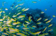 Zdjęcia z wyjazdu do Australii 2013