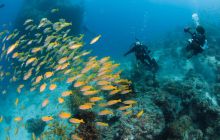 Zdjęcia z wyjazdu do Australii 2013