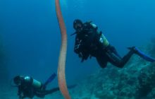 Zdjęcia z wyjazdu do Australii 2013