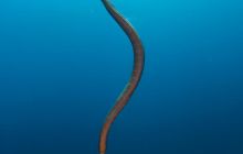 Zdjęcia z wyjazdu do Australii 2013