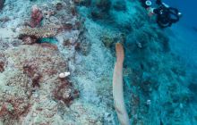 Zdjęcia z wyjazdu do Australii 2013