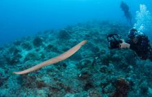 Zdjęcia z wyjazdu do Australii 2013