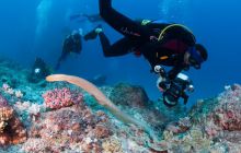 Zdjęcia z wyjazdu do Australii 2013