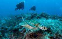 Zdjęcia z wyjazdu do Australii 2013