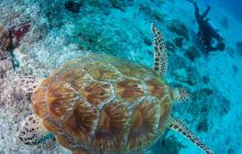 Zdjęcia z wyjazdu do Australii 2013