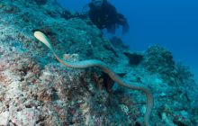 Zdjęcia z wyjazdu do Australii 2013