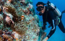 Zdjęcia z wyjazdu do Australii 2013