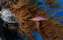 Zdjęcia z wyjazdu do Australii 2013