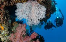 Zdjęcia z wyjazdu do Australii 2013