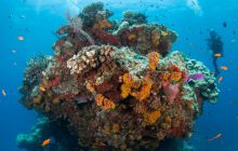 Zdjęcia z wyjazdu do Australii 2013