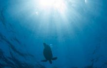 Zdjęcia z wyjazdu do Australii 2013