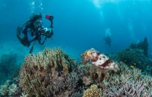 Zdjęcia z wyjazdu do Australii 2013