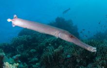 Zdjęcia z wyjazdu do Australii 2013