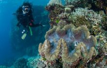 Zdjęcia z wyjazdu do Australii 2013