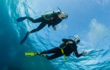 Zdjęcia z wyjazdu do Australii 2013