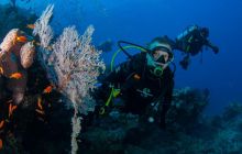 Zdjęcia z wyjazdu do Australii 2013