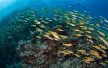 Zdjęcia z wyjazdu do Australii 2013