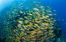 Zdjęcia z wyjazdu do Australii 2013