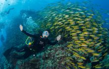 Zdjęcia z wyjazdu do Australii 2013