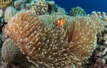 Zdjęcia z wyjazdu do Australii 2013