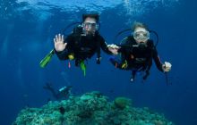 Zdjęcia z wyjazdu do Australii 2013