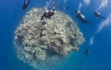 Zdjęcia z wyjazdu do Australii 2013