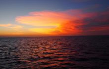 Zdjęcia z wyjazdu do Australii 2013