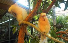 Zdjęcia z wyjazdu do Australii 2013