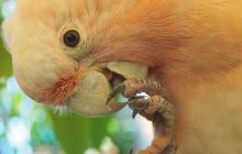 Zdjęcia z wyjazdu do Australii 2013